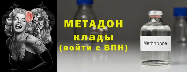 тгк Дмитриев