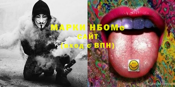 тгк Дмитриев