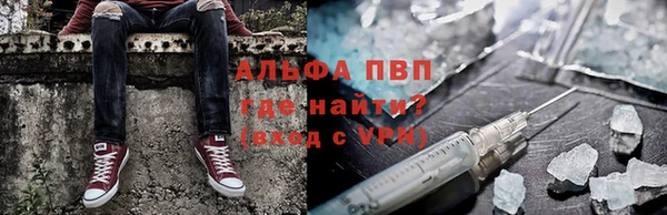 тгк Дмитриев