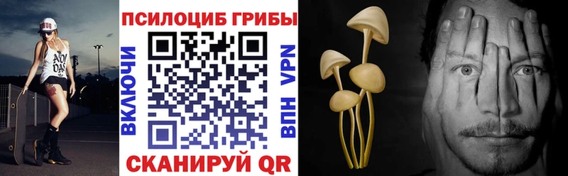 ссылка на мегу вход  Зарайск  Псилоцибиновые грибы Cubensis 